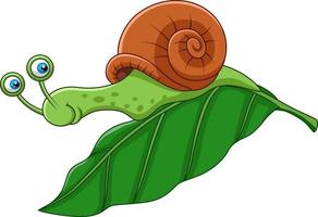 Cartoon snail crawling  on a leaf vector
