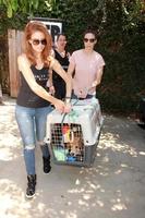 los angeles, 14 de febrero - maria menounos, whitney cummings en el proyecto the beagle freedom en la ubicación privada el 14 de abril de 2015 en valley village, ca foto