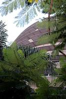 LOS ANGELES, SEP 7 - Capitol Records Building thru the Trees during the Buddy Holly Walk of Fame Ceremony at the Hollywood Walk of Fame on September 7, 2011 in Los Angeles, CA photo