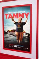 LOS ANGELES  JUN 30 - Tammy Poster at the Tammy Los Angeles Premiere at the TCL Chinese Theater on June 30, 2014 in Los Angeles, CA photo