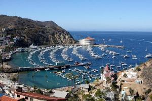 LOS ANGELES, APR 26 - Catalina Harbour at Catalina Film Festival on August 26, 2014 in Avalon, Catalina Island, CA photo