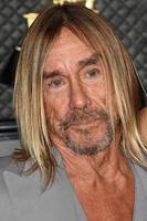 LOS ANGELES  JAN 26 - Iggy Pop at the 62nd Grammy Awards at the Staples Center on January 26, 2020 in Los Angeles, CA photo