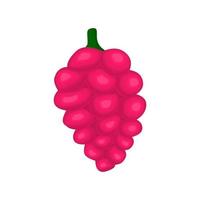 Sweet raspberry vegan berry vector flat isolated illustration