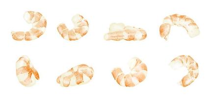 Vector illustration of a set of cooked shrimp. Drawn appetizing seafood