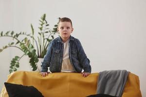 Child stands in the living room near the yellow sofa and green plant. White background photo