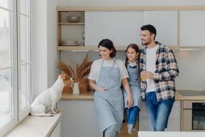 Three family members pose at modern kitchen, look gladfully at their russell terrier dog, spend free time at home. Happy child stands between mother and father, domestic pedigree pet on window sill photo