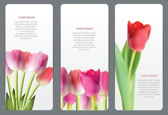 Beautiful Floral Cards with  Realistic Tulip Vector Illustration