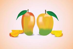 Fresh mango with mango slice and leaves vector