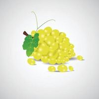 Fresh green grape with green leaf isolated white background vector