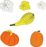 Autumn set of vegetables and leaves vector