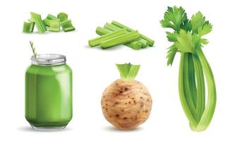 Realistic Celery Icon Set vector