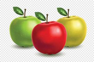 composición realista de manzana vector