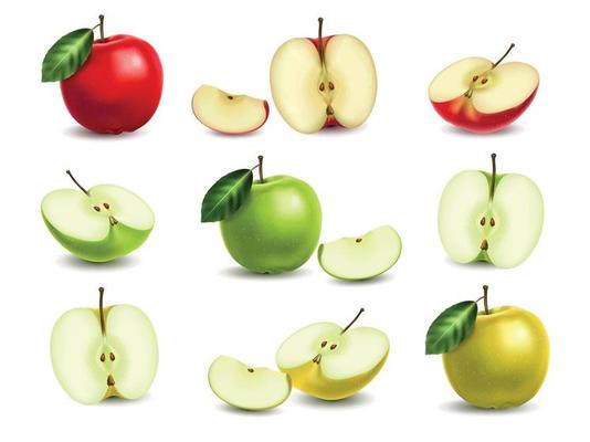 Realistic Apple Set