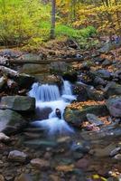 creek closeup view photo