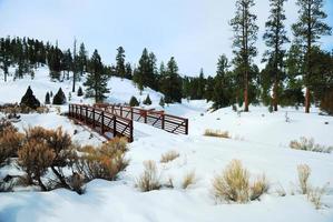 Snow field view photo