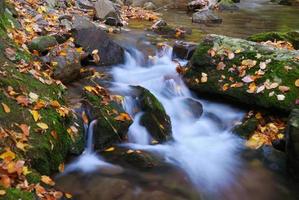 Autumn creek view photo