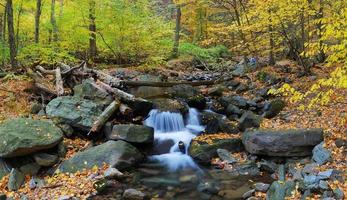 vista del arroyo de otoño foto