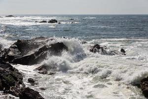 waves crashing over Portuguese Coast photo