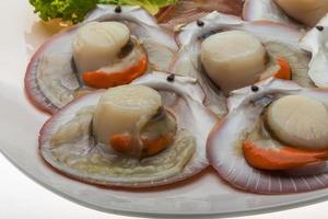 Raw fresh scallop photo