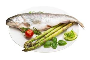 Fresh raw rainbow trout photo