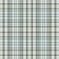 Seamless winter tartan plaid pattern background. vector