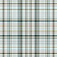 Seamless winter tartan plaid pattern background. vector