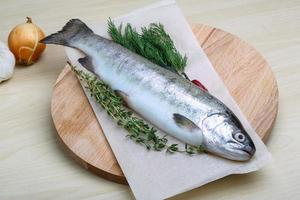 Raw trout on a board photo