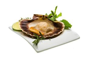 Scallop with asparagus, lime, mint and rosemary photo