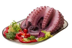 Large boiled octopus photo