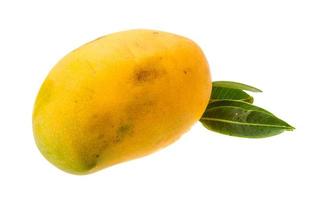 Yellow bright mango photo