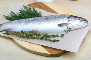 Raw trout on a board photo