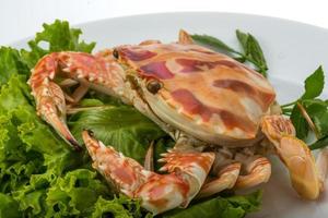 Boiled crab on white background photo