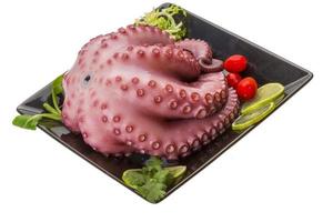 Large boiled octopus photo