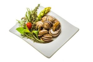 Escargot with asparagus, rosemary, thymus and tomato photo