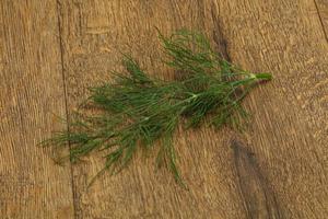 Fresh green dill herb branch photo