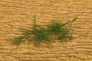 Fresh green dill herb branch photo