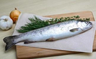 Raw trout on a board photo