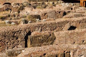 Colosseum in Rome, Italy photo