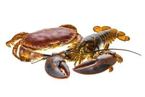 Raw Lobster and Crab photo