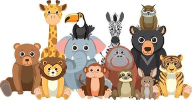 Zoo animals group in flat cartoon style