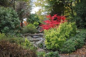 Stream bed and forest during autumn photo