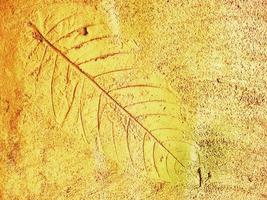 Cement plaster with leaf pattern wall background photo