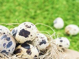 Small eggs in a bird nest over green grass background photo