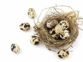 Small eggs in a bird nest over white background photo