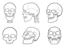 Skull vector design illustration isolated on white background