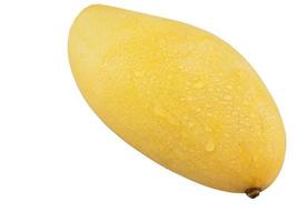 Mango isolated over white background photo