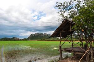 arrozal verde archivado con quiosco de bambú temporal y paisaje de cielo azul en Tailandia foto