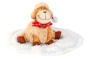 Smiling sheep sitting on white soft cloth as snow isolated over white , Christmas decoration object photo
