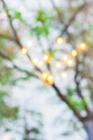 Blur abstract of light bokeh with tree branch background photo