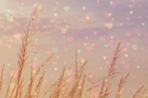 Double exposure of soft focused brown grass flower and blur heart bokeh in vintage color style photo